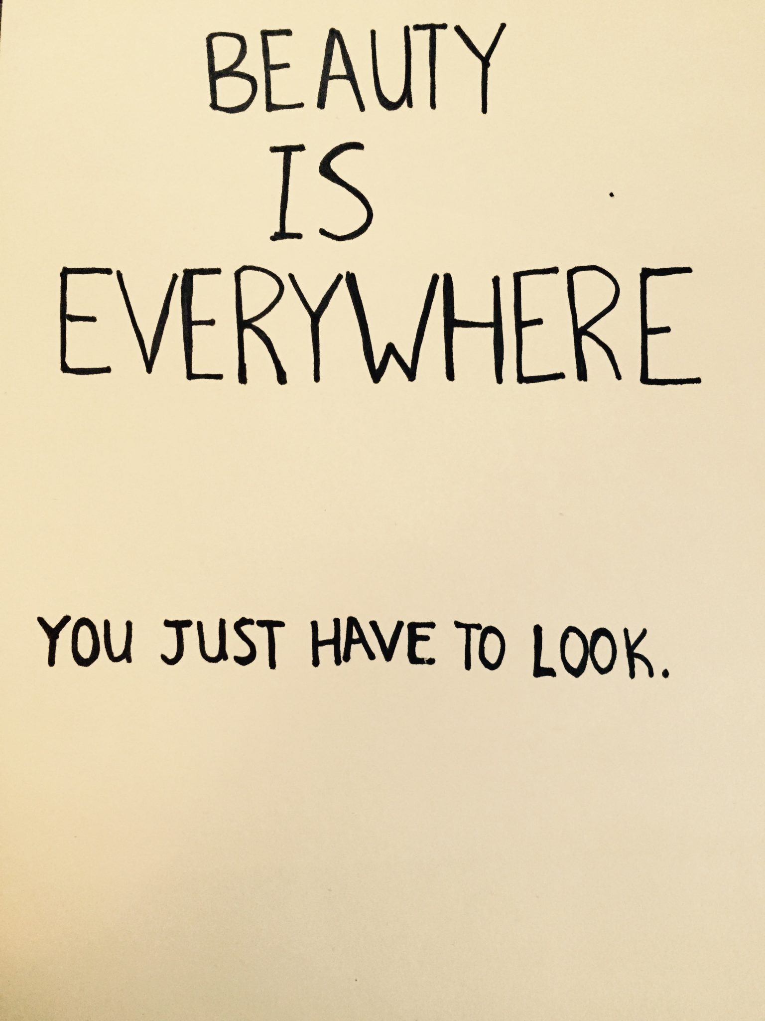  Beauty is Everywhere
