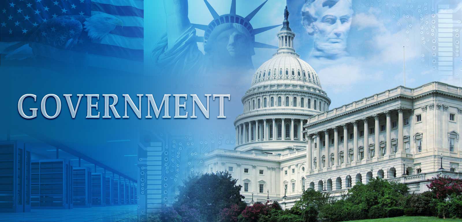  Government