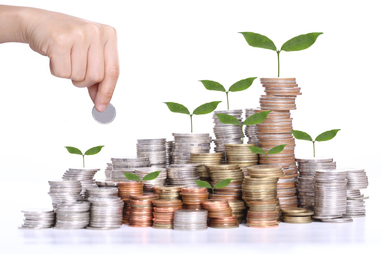  Investments