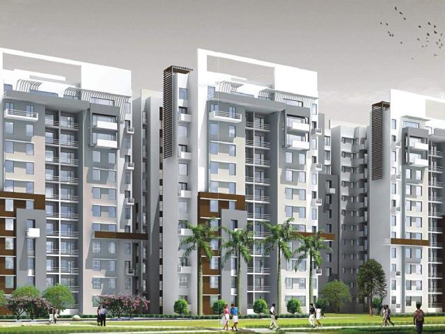 Dadri Road Property
