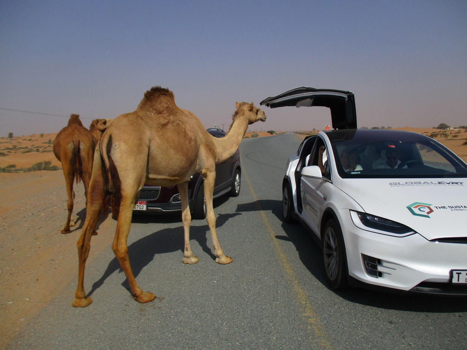 Strangest Automobile