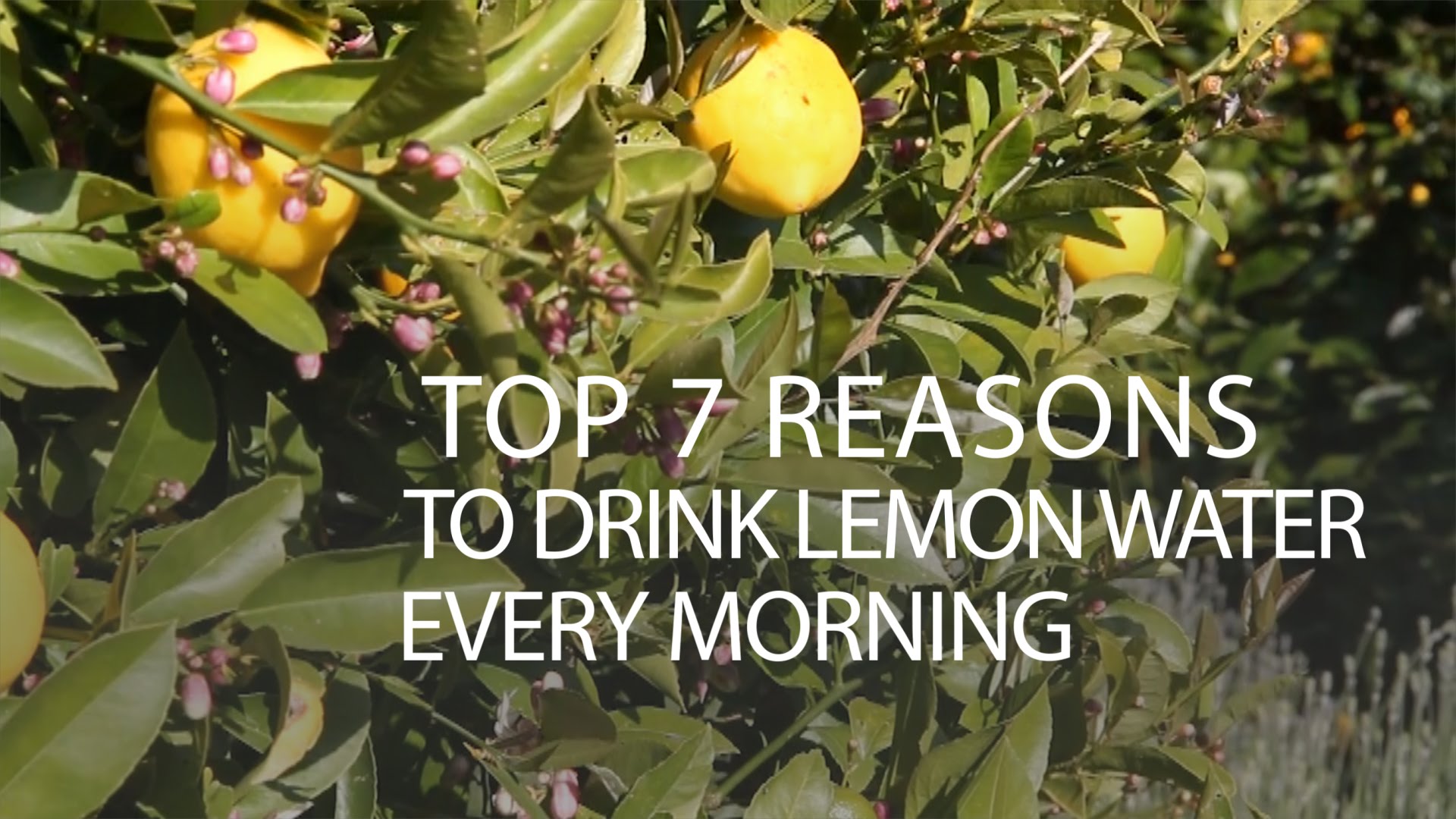 reasons